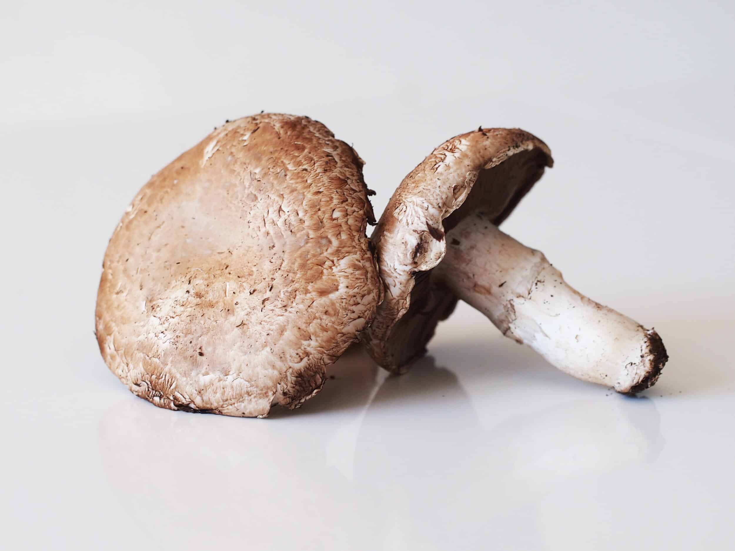 Portabello Mushrooms